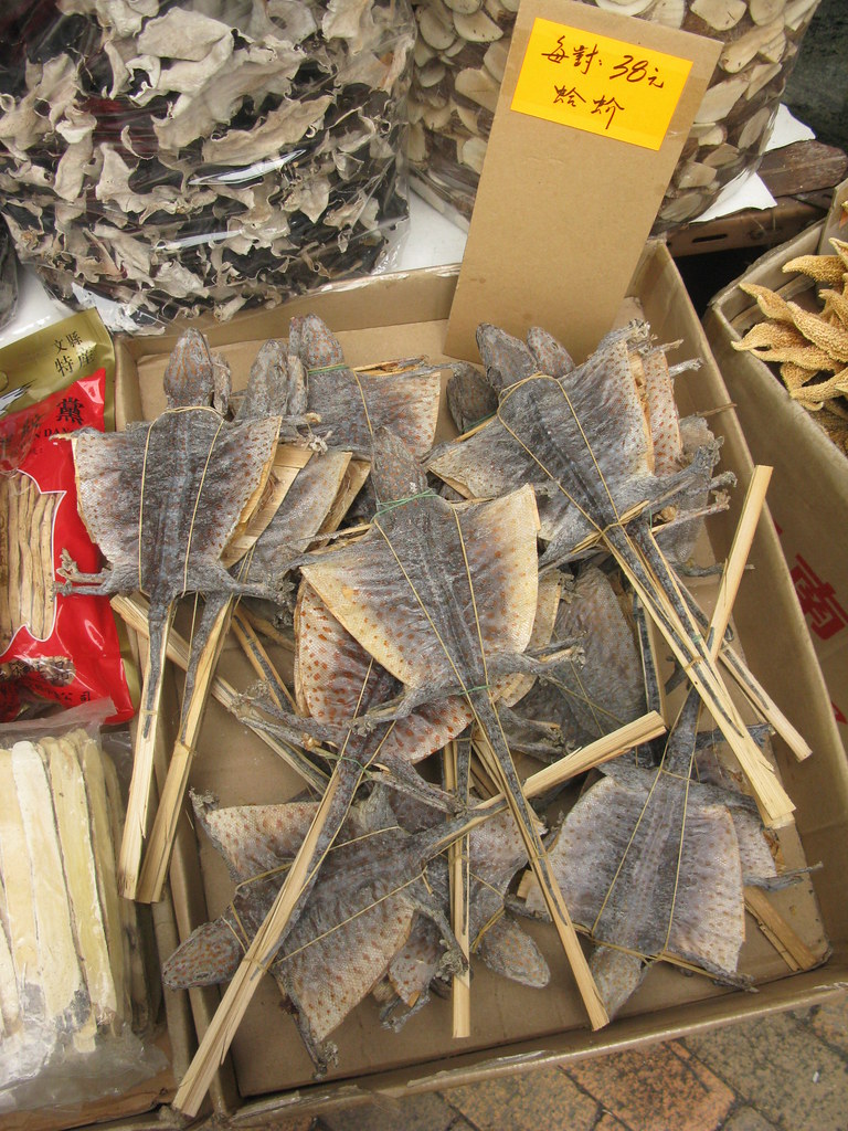 Dried Lizard on a Stick tommyh Flickr