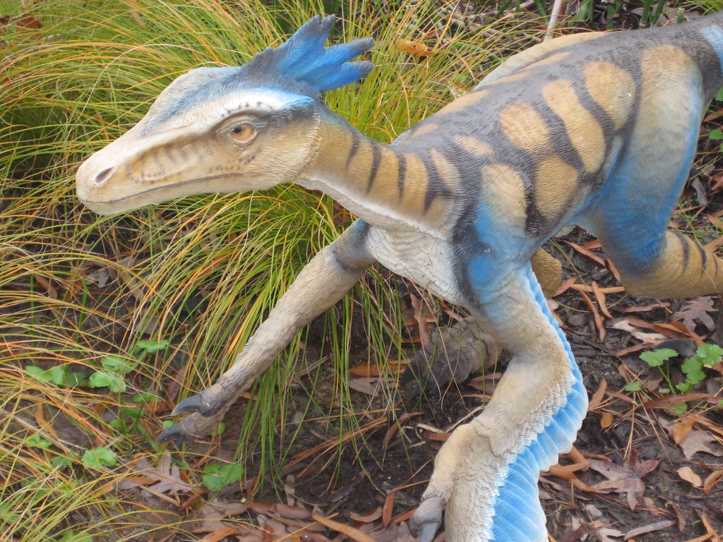 Troodon Museum of Life and Science Dinosaur Trail Durham