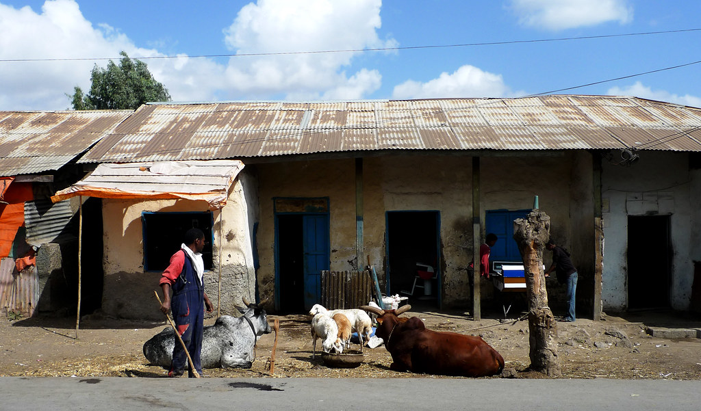 Debre Zeyit / ደብረ ዘይት / Bishoftu (Ethiopia) House in the… Flickr