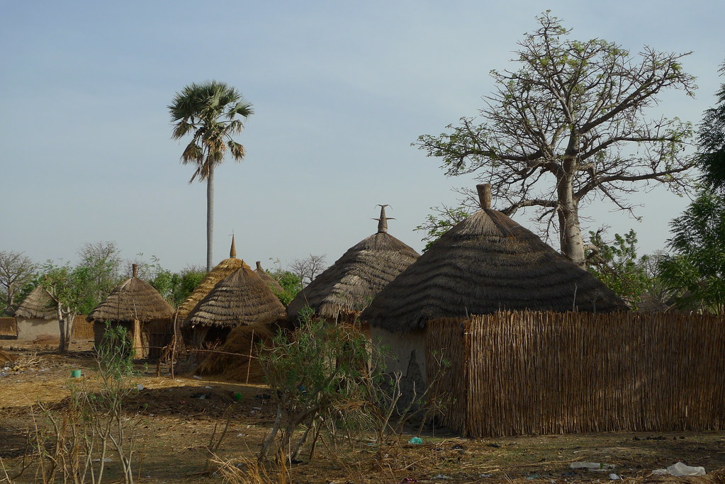 Farmer in climate information, Kaffrine, Senegal Flickr