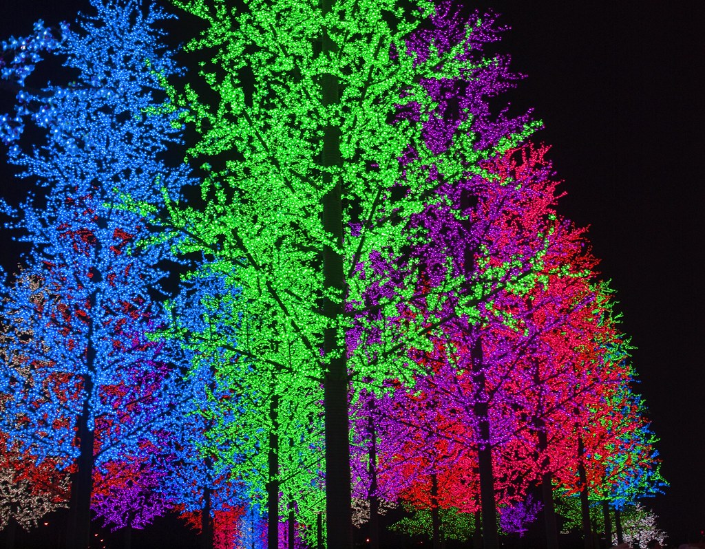 Digital Pine Trees Trees made from LED lights. Kevin Poh Flickr