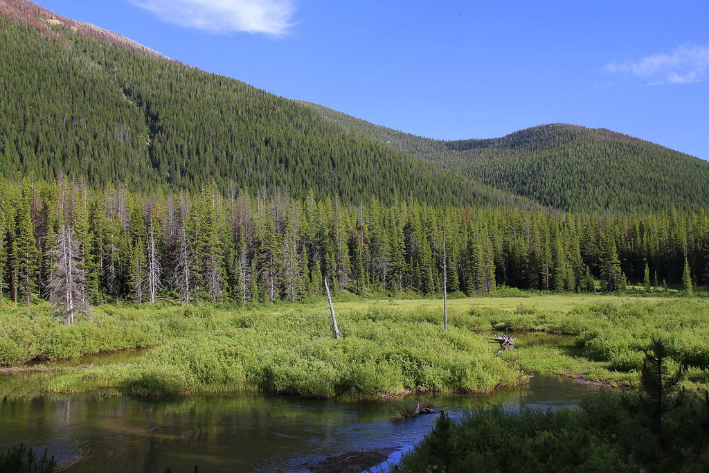 Meadow Creek A scenic view of Meadow Creek in the Scapegoa… Flickr