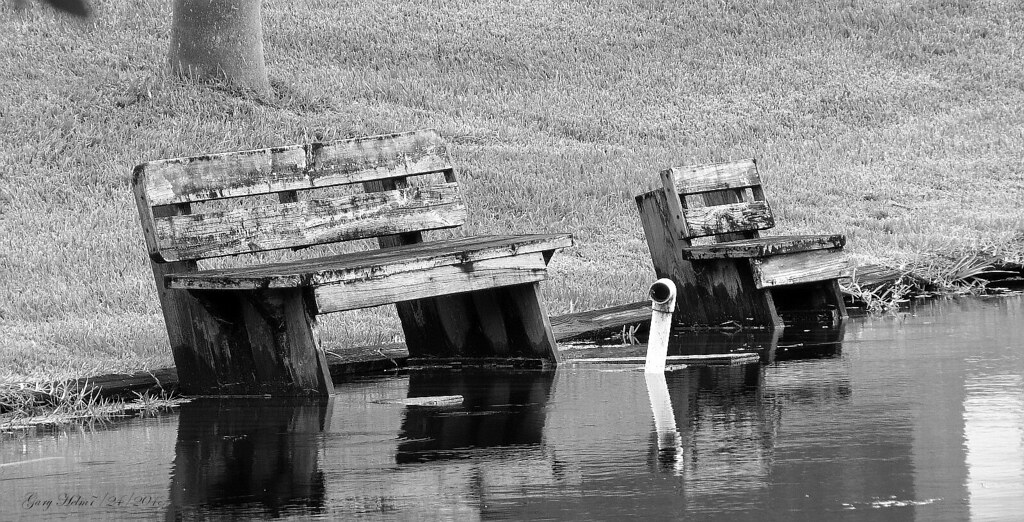 " How High Is The Water Papa" How high's the water, mama? … Flickr