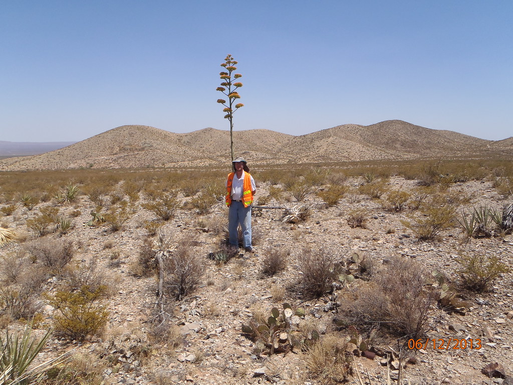 Public Lands NW of Orogrande, New Mexico Photo William Ol… U.S