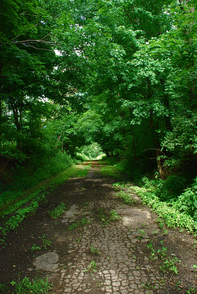 A Walk In the Park Cross creek Park is a Washington County… Flickr