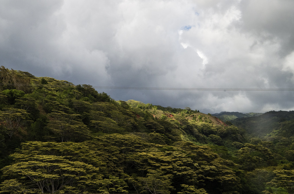Kipapa gulch Shot from the car, which is the only place yo… Flickr