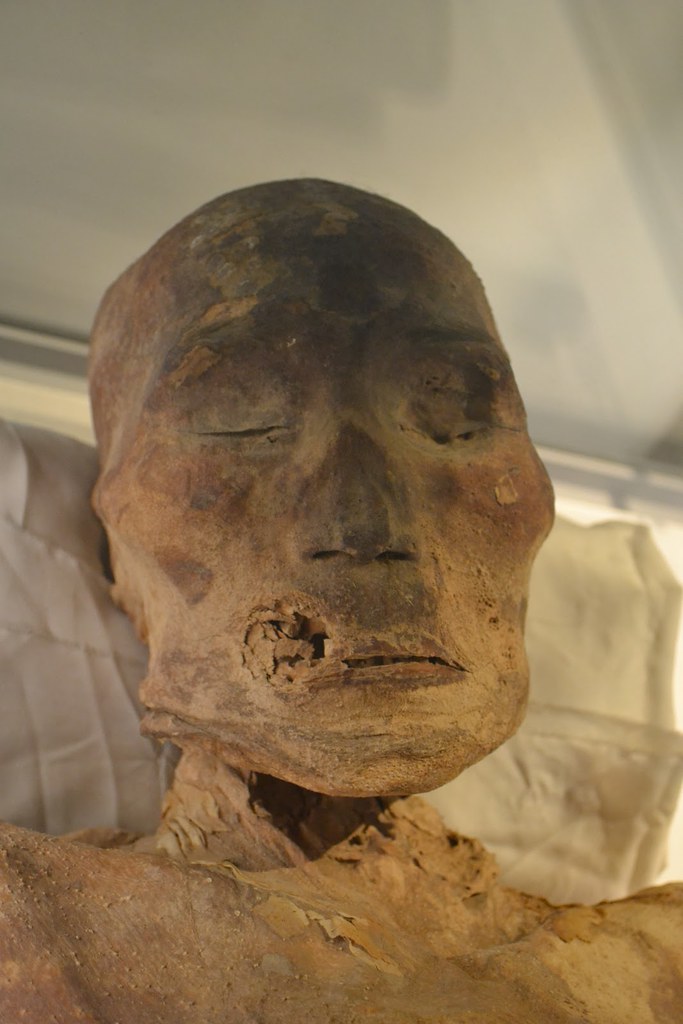 Xinjiang Regional Museum The wellpreserved Tarim mummies … Flickr