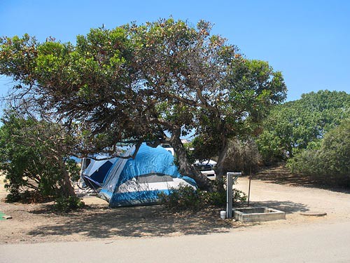 San Elijo State Beach Campground 6880 Read about San Elijo… Flickr