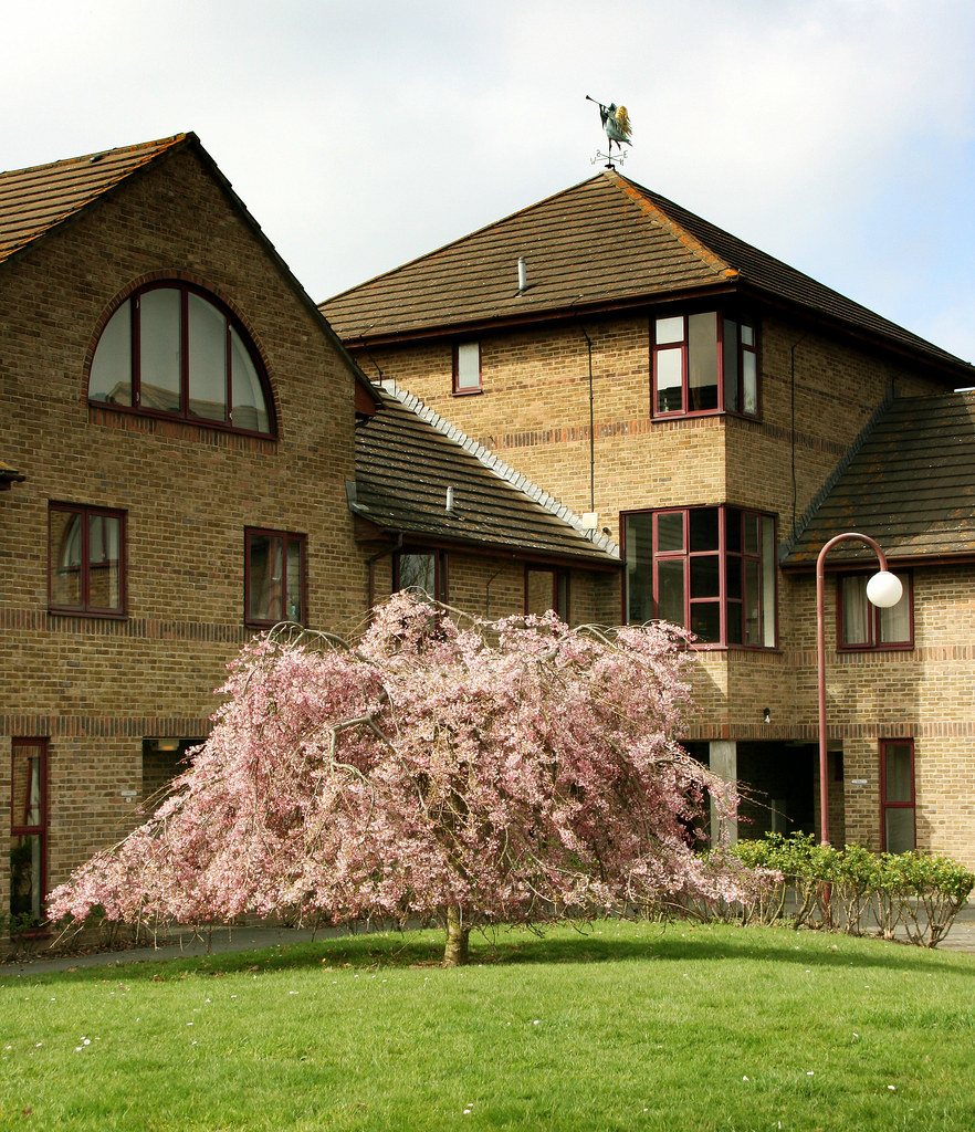 Affordable accommodation in modern Kent homes