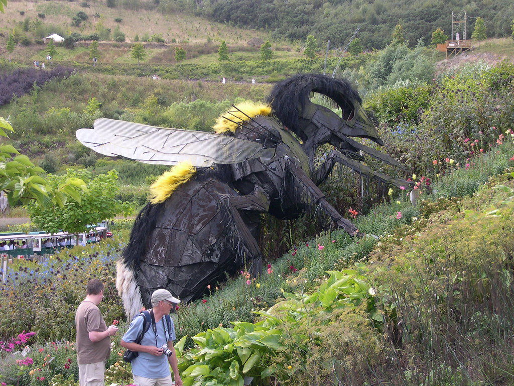 The world's biggest bee has been rediscovered, after decades thought lost to science r