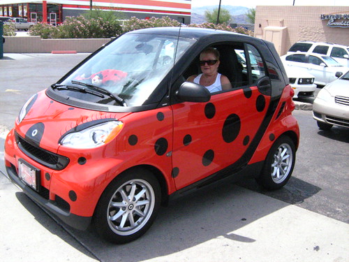 ladybug smartcar i saw this, jumped out of my car and aske… Flickr