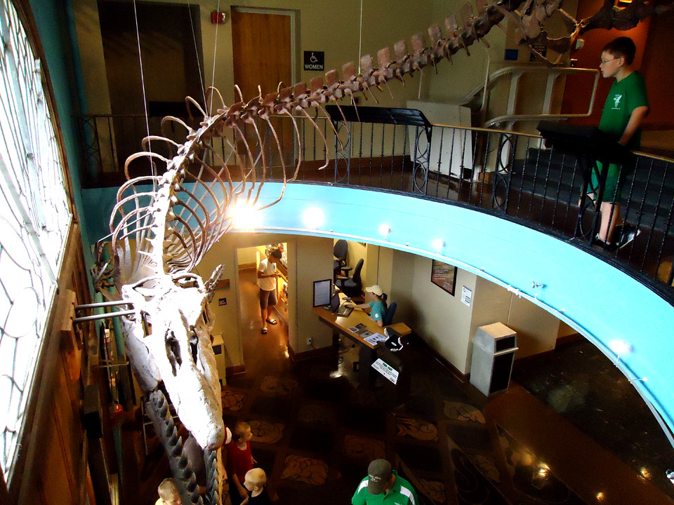 Kansas Museums Lawrence Museum of Natural History Flickr