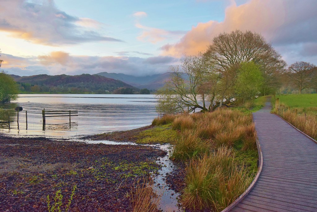 Low Wray Campsite (Near Lake Windermere) Lake District Becky the
