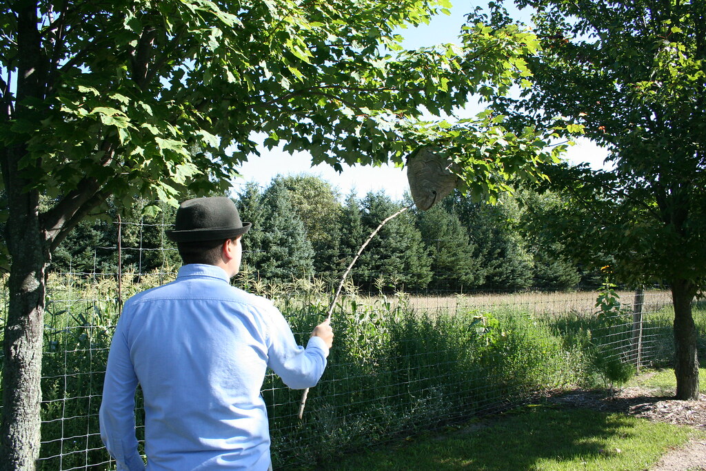 Poking the Nest Me, using a stick to poke at a ho… Flickr