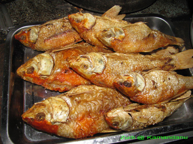 Ikan Koi goreng Ikan Koi termasuk ikan hias yg lumayan mah… Flickr