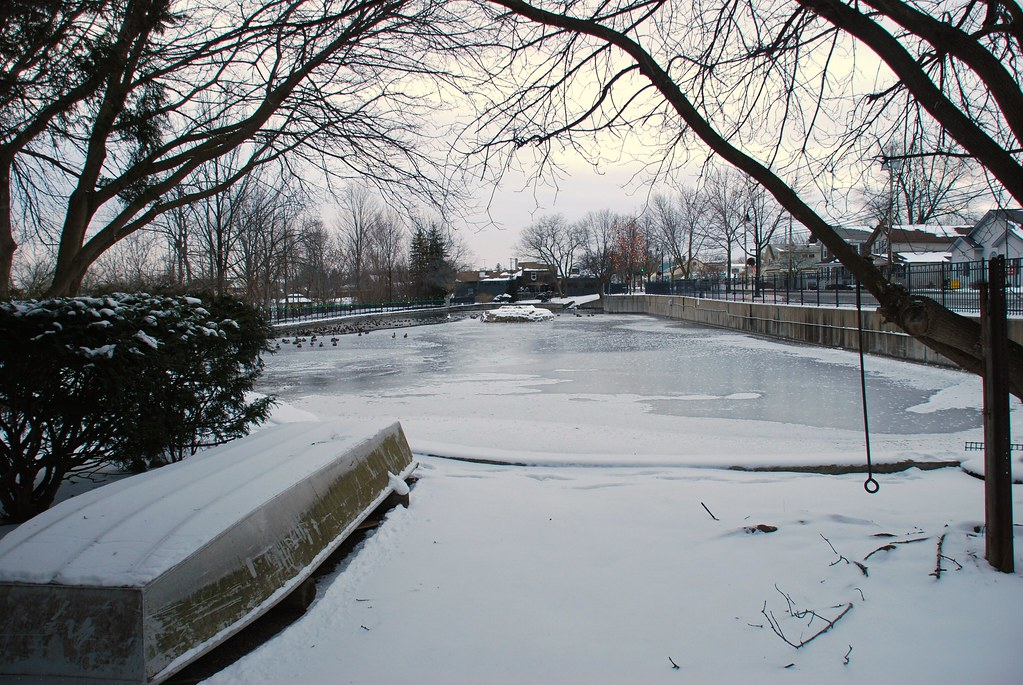 The Swan Pond Manlius A long shot of the Swan Pond in Ma… Flickr