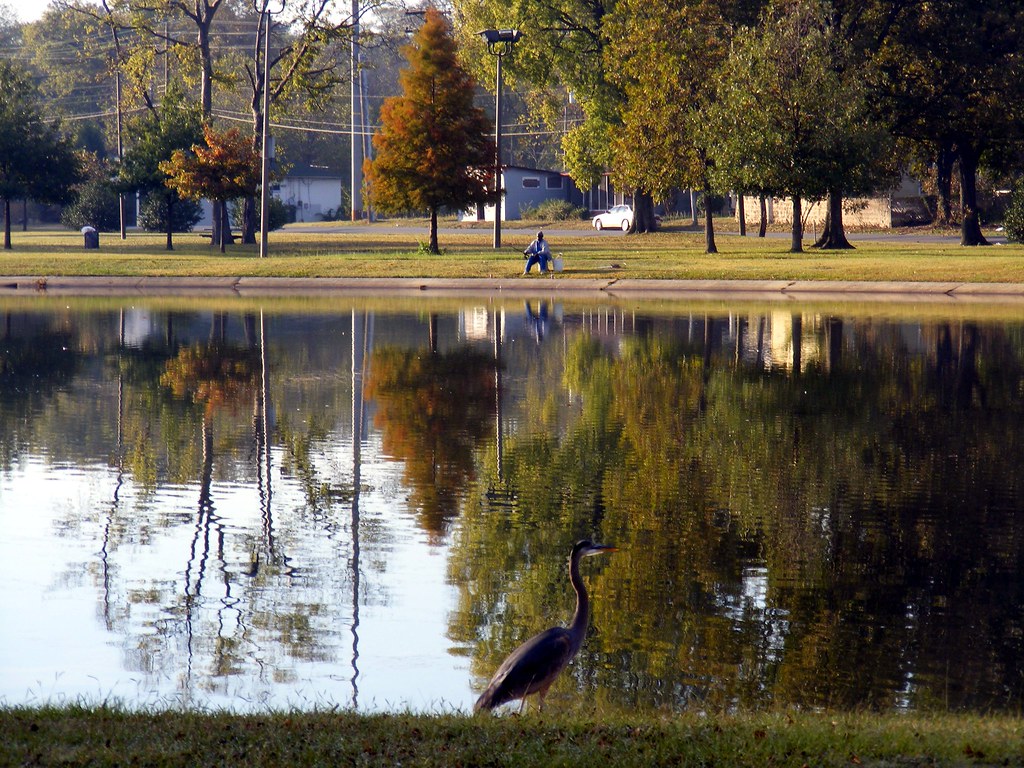 Across the lake at W.C. Patton Park The view early last Mo… Flickr