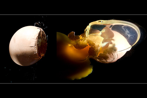 Egg Universe Two separate shots same light setup. One SB… Flickr