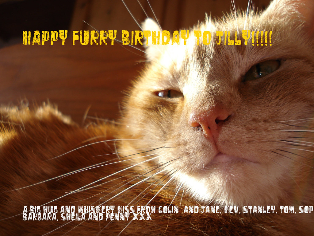 Happy Birthday Jill! Have a wonderful Day ) jane pierrepont Flickr