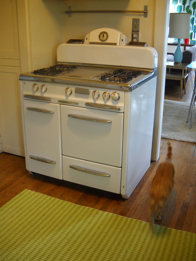 DSCN0286 1950's gaffers and sattler stove Kevin,Ana and Catherine