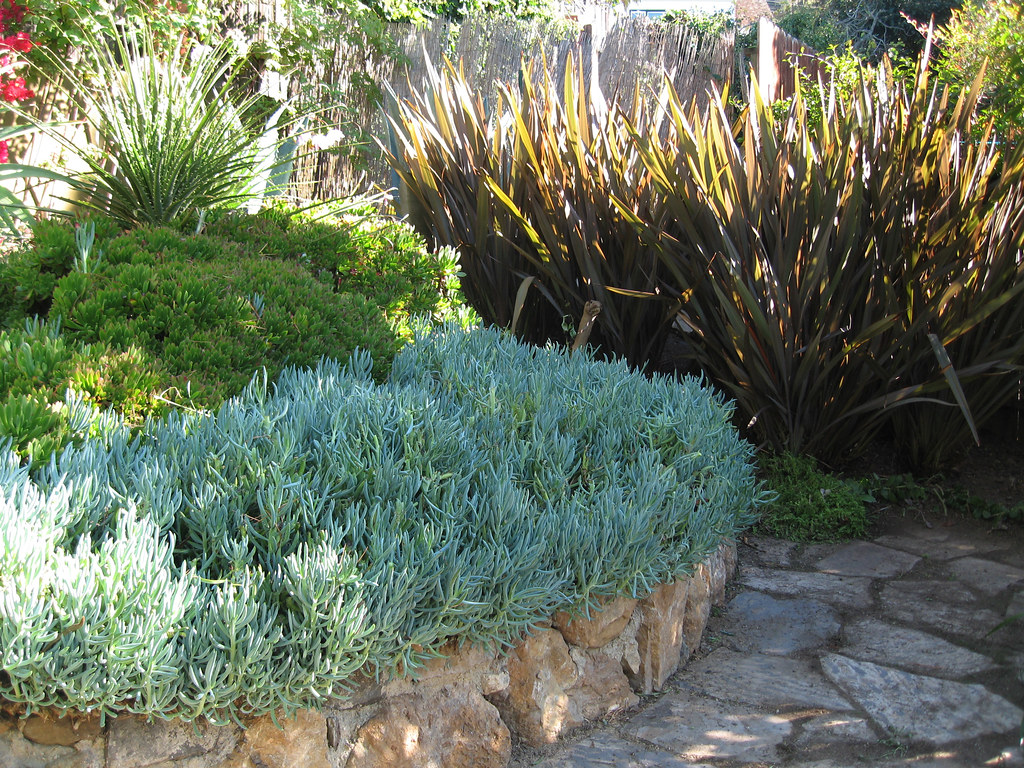 Blue Chalk Sticks as color/texture accent Garden by David … Flickr
