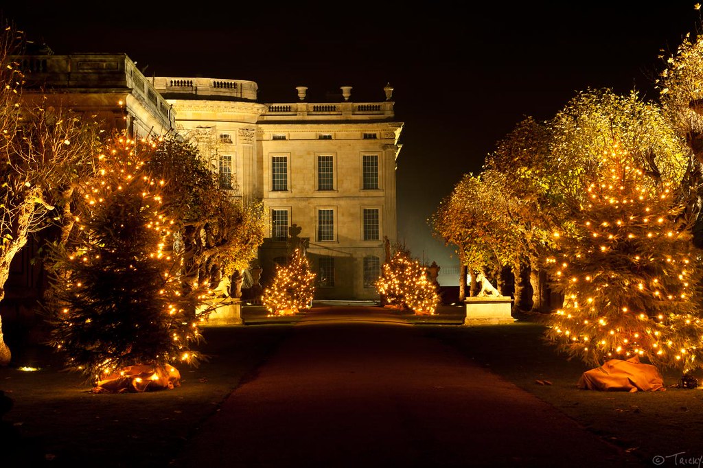 Christmas Trees Chatsworth Taken poking the camera throu… Flickr