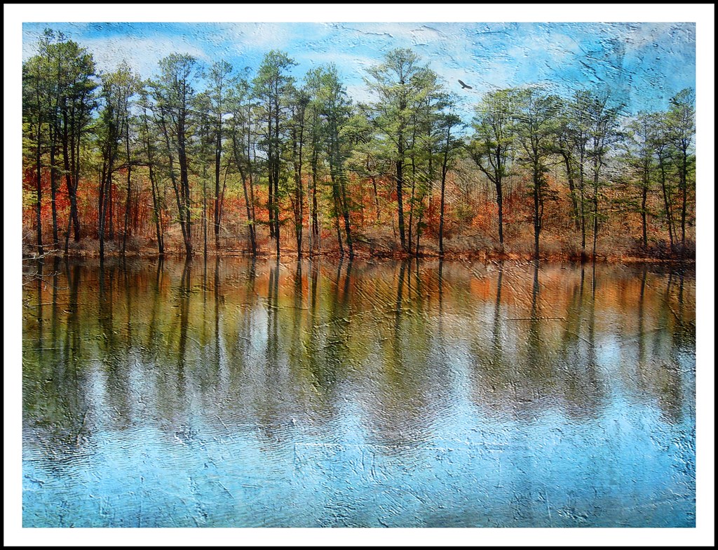 Lake Panamoka Lake Panamoka, Ridge, NY. Texture courtesy o… Flickr