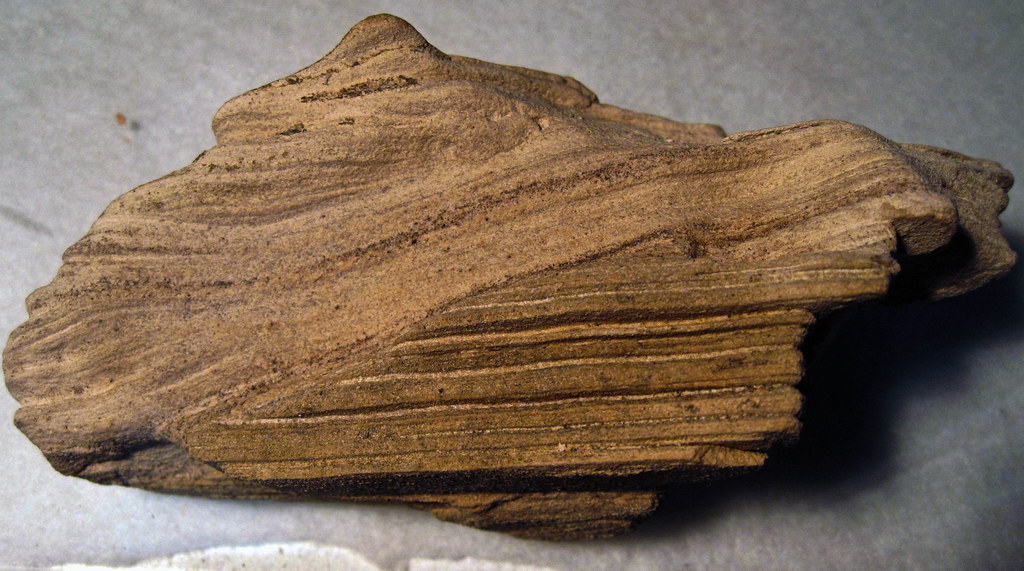 Cross lamination in miocene sandstone / Laminación cruzada… Flickr