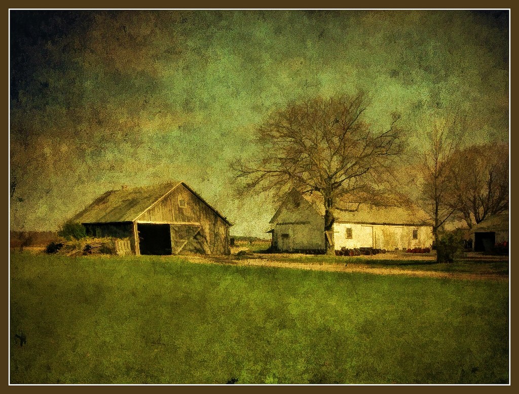 Long Island Sod Farm Once a potato farm, this land is now … Flickr