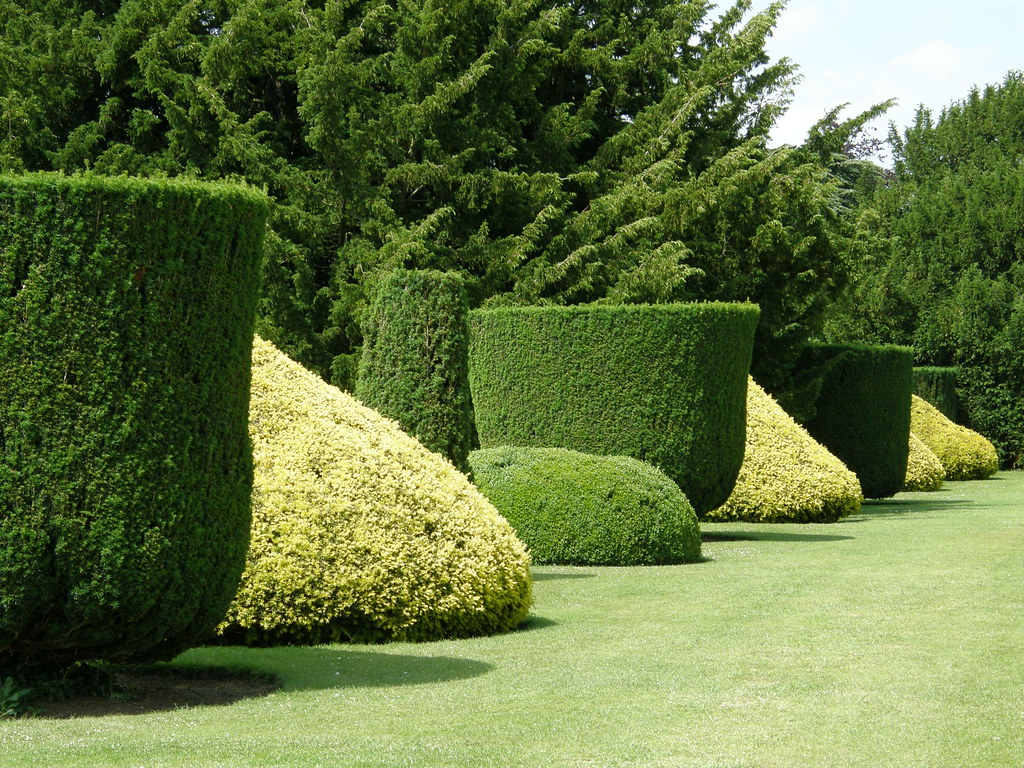 topiary hedges Neat topiary work has sculpted these hedges… Flickr