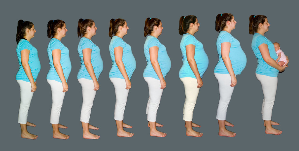 Belly Progression The progression of the belly. In this