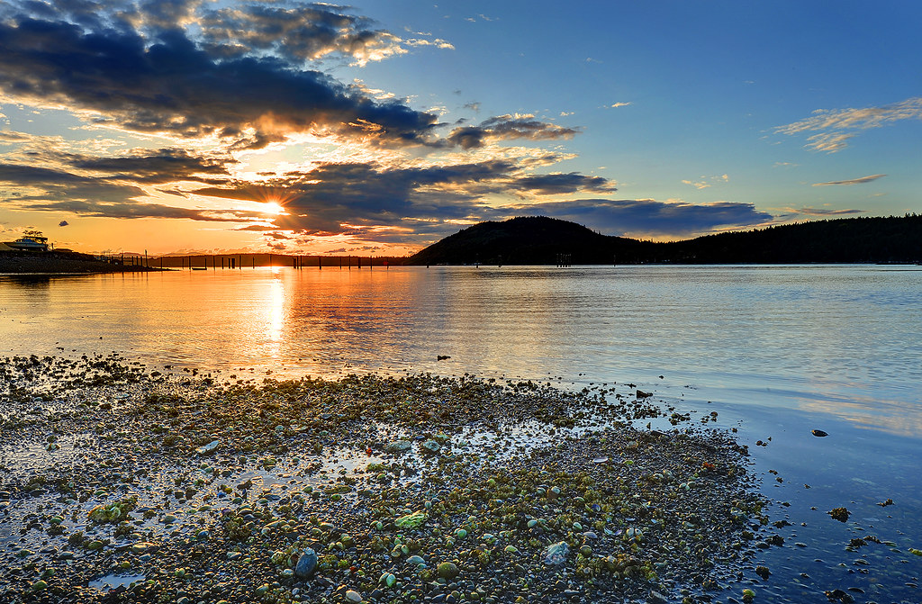 The Seashore Comes Alive Nanoose Bay Vancouver Island Flickr