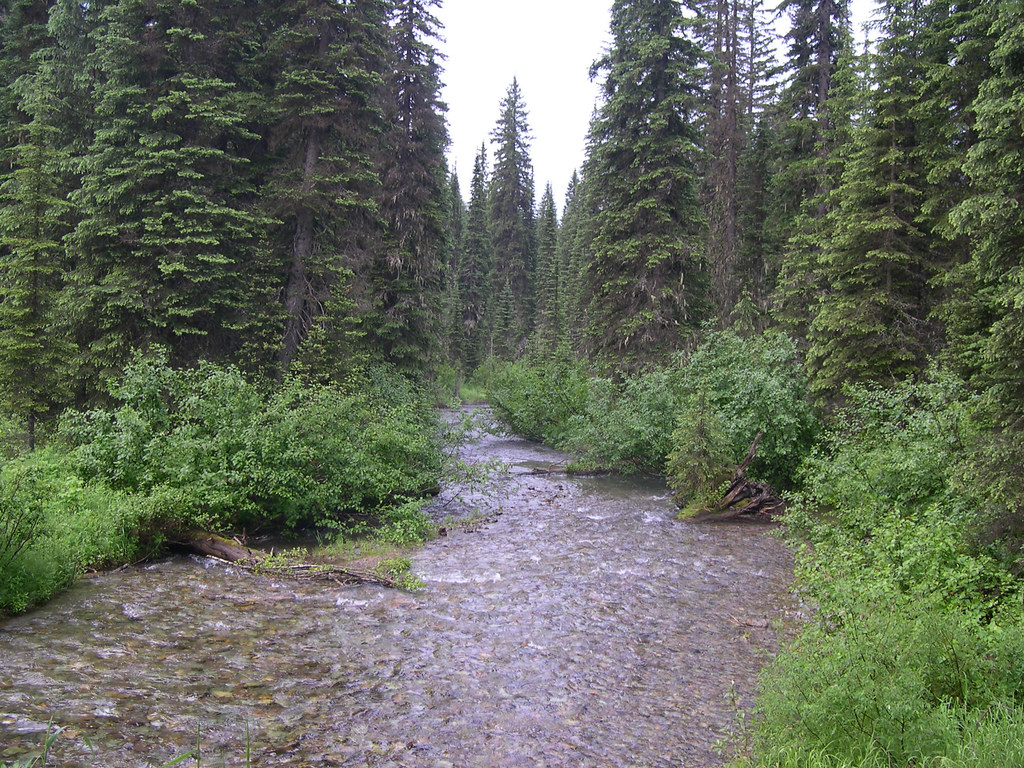 Bull Trout Habitat Stillwater River, MT Stillwater River … Flickr