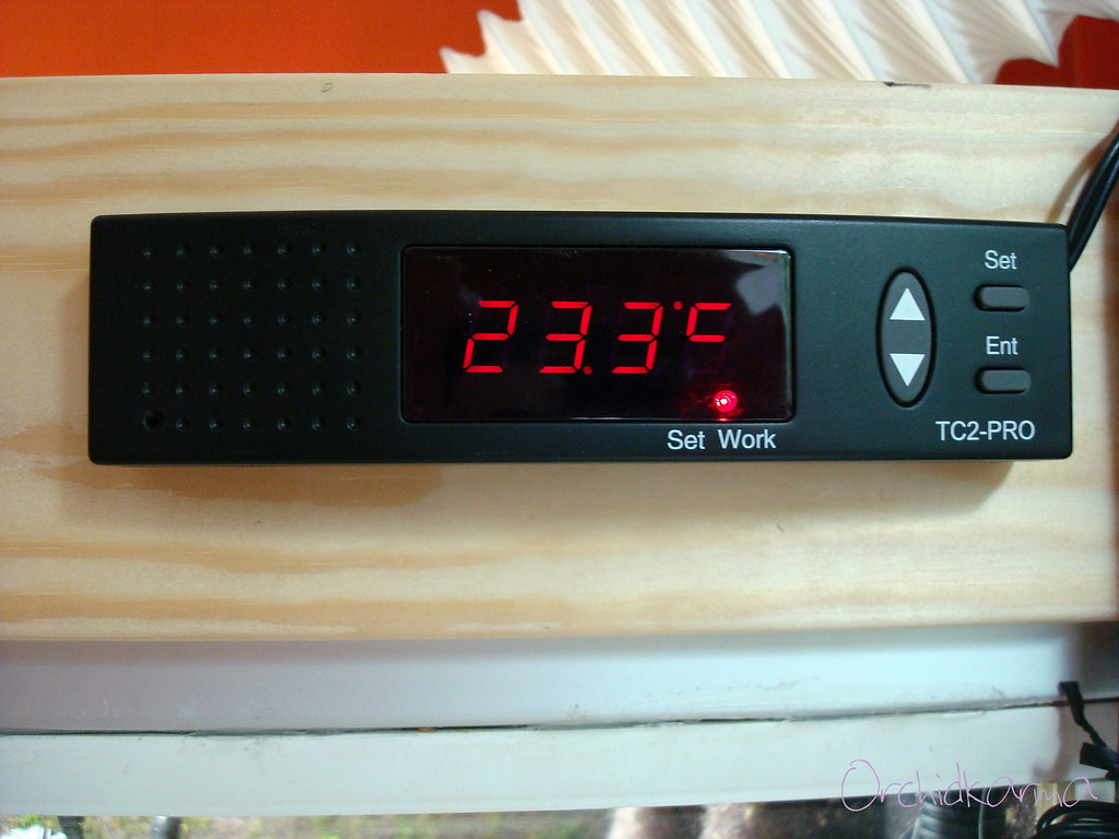 Lucky Reptile Thermo Control Pro II display 20100715