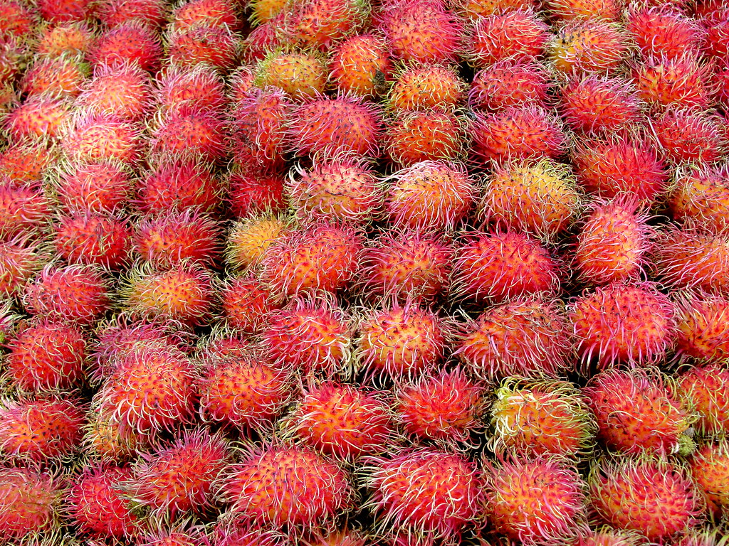 Liches ramiro.rodriguez Flickr