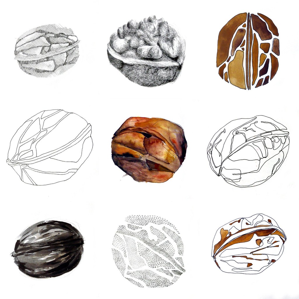 Walnut drawing study Jess Large Flickr
