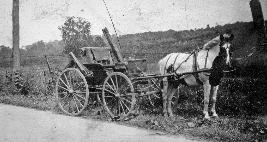 Buggy and Horse at Glenwood, West Virginia This was probab… Flickr