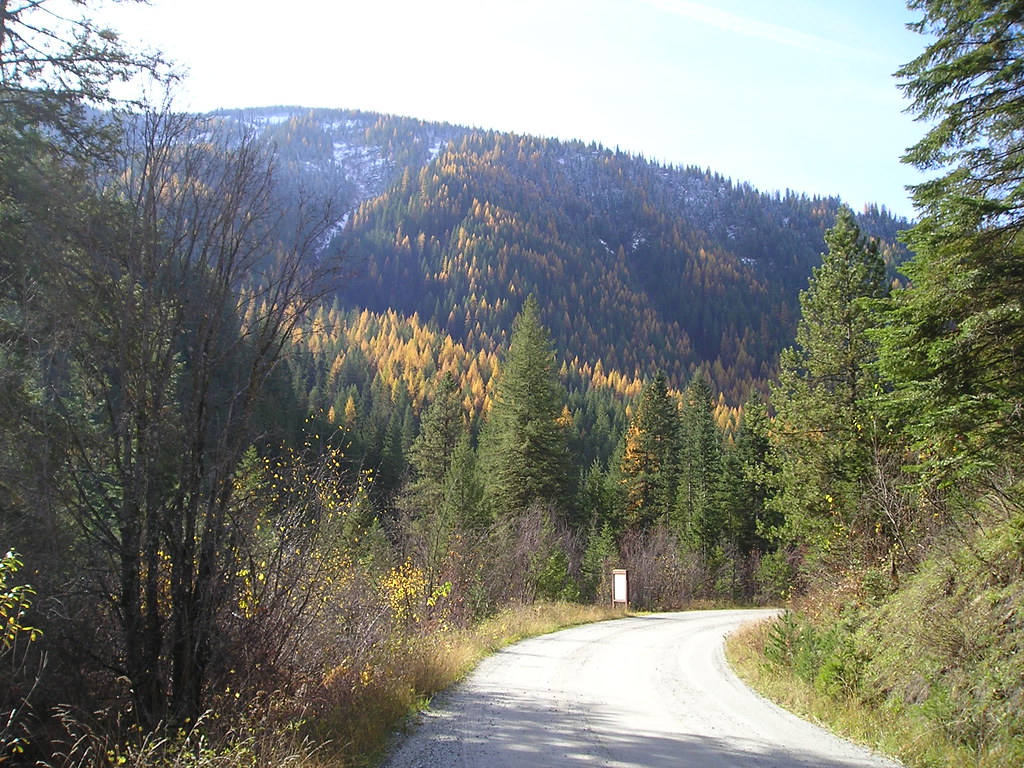 Fall Colors The Clearwater National Forest in northern Ida… Flickr