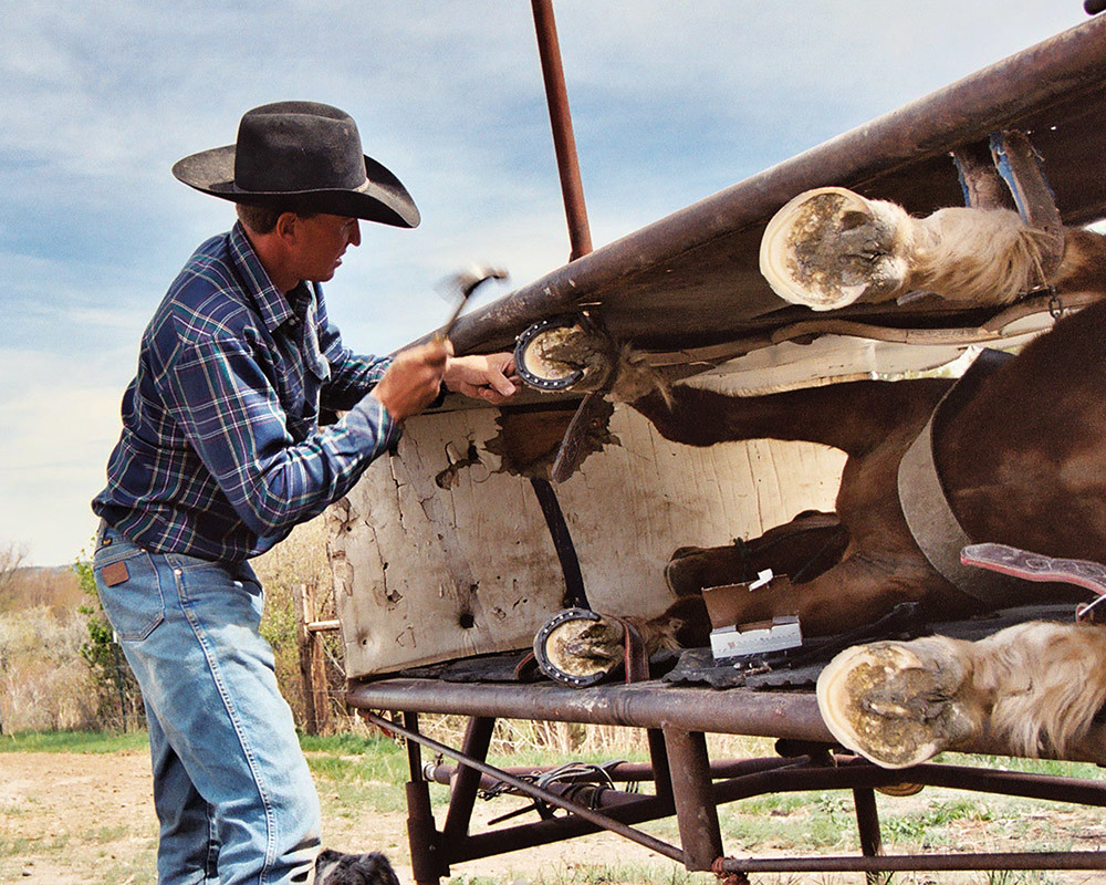 Three Forks Montana horse ranch Horse shoeing contraption Flickr