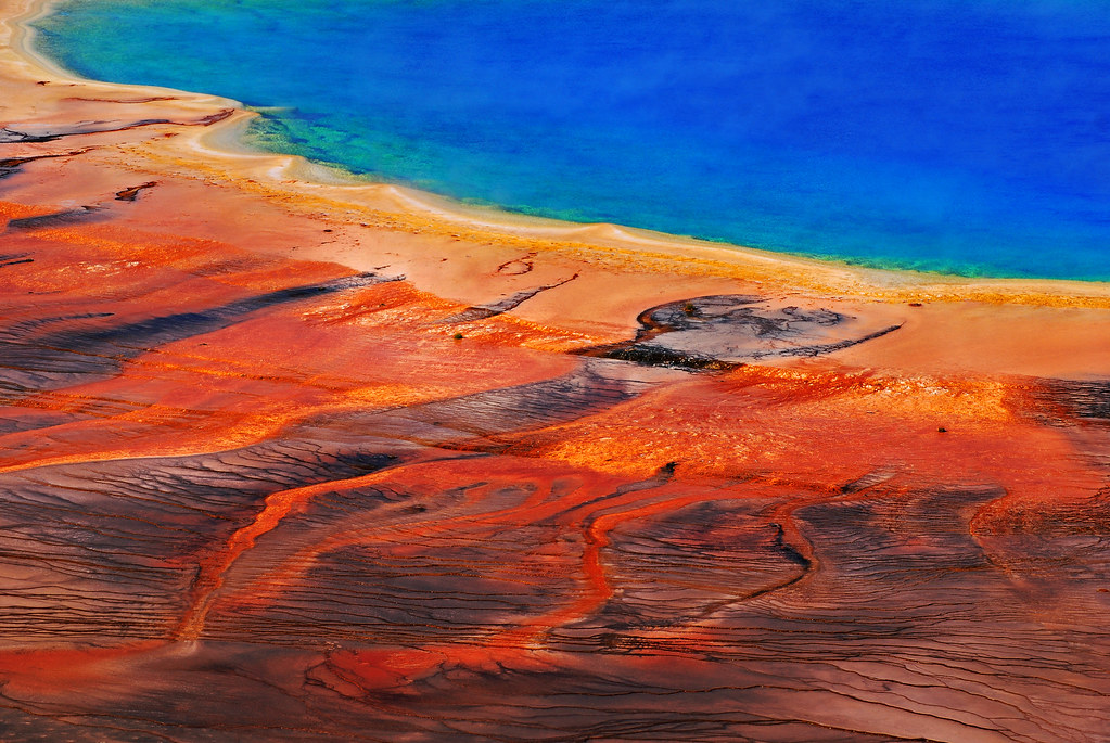 Thermus Aquaticus Jessica Toofan Flickr