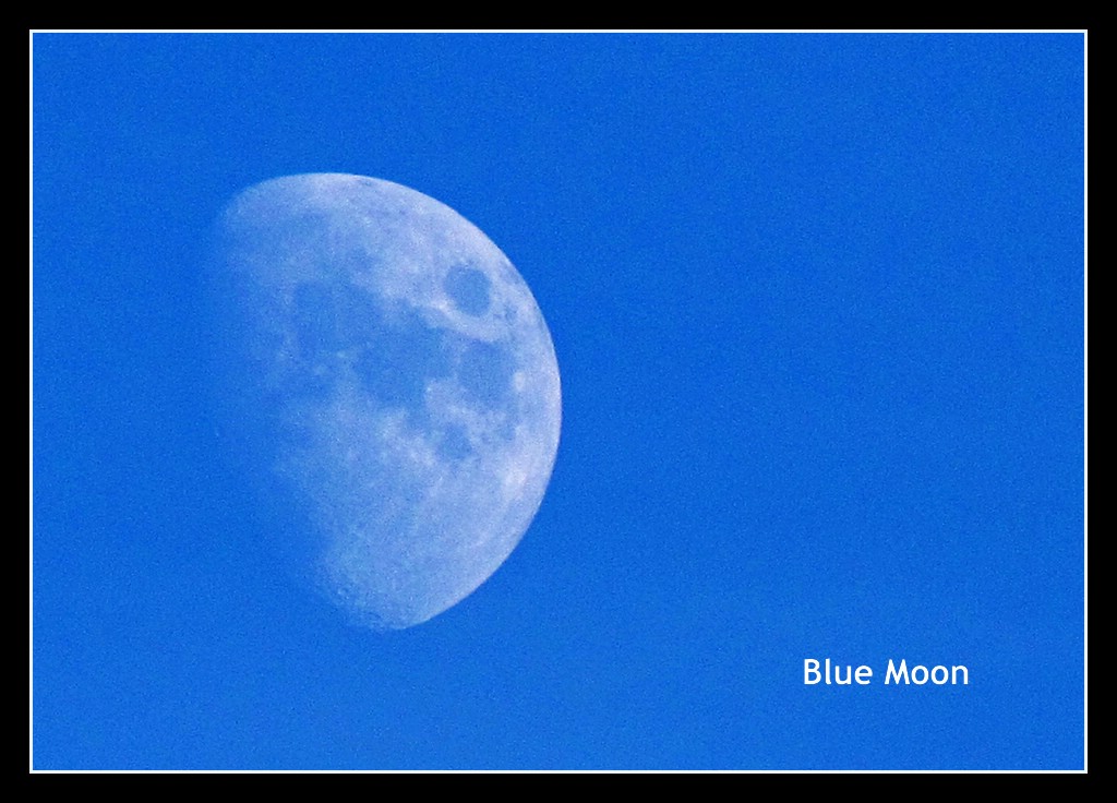 Blue Moon Blue Moon, you saw me standing alone, Without a … Flickr