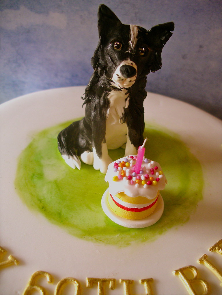 Border Collie cake Horner Flickr