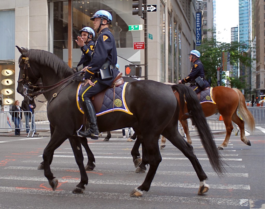 New York Police Department's 10Foot Cops (Mounted Unit) T… Flickr