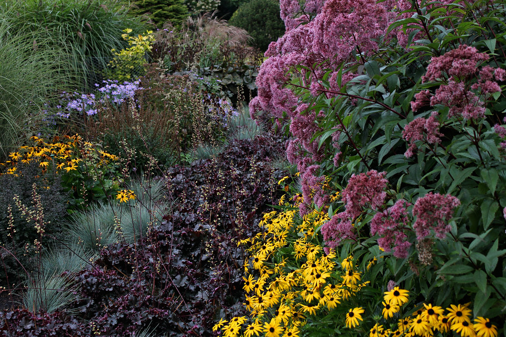 Detail, Foggy Bottom Garden Adrian Bloom has championed th… Flickr