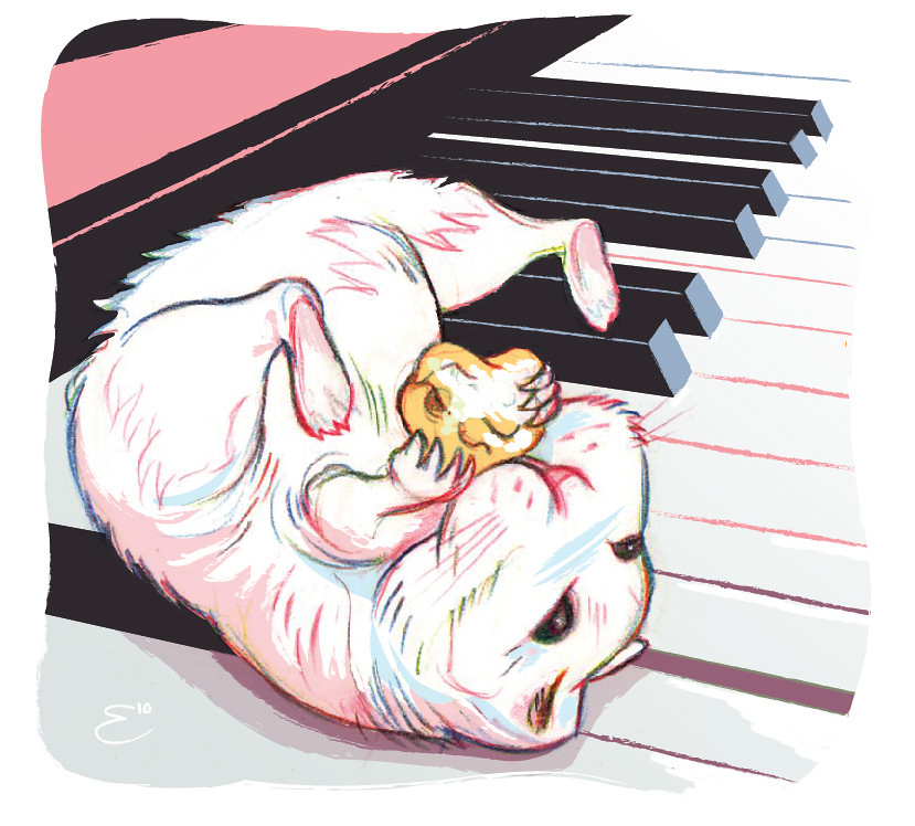 Hamster on a Piano Flickr