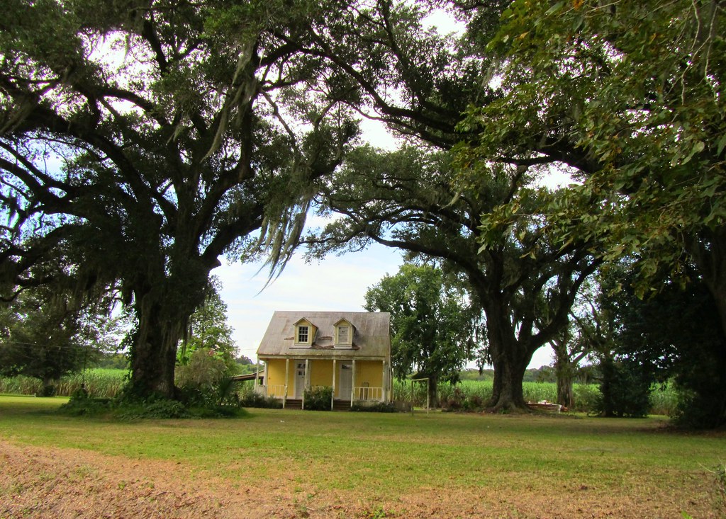 Amongst the giants Schriever, Louisiana Julie Alicea Flickr