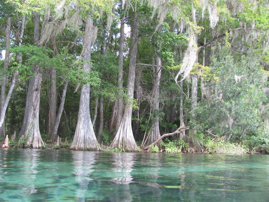 Rainbow River, Dunnellon, FL John Flickr