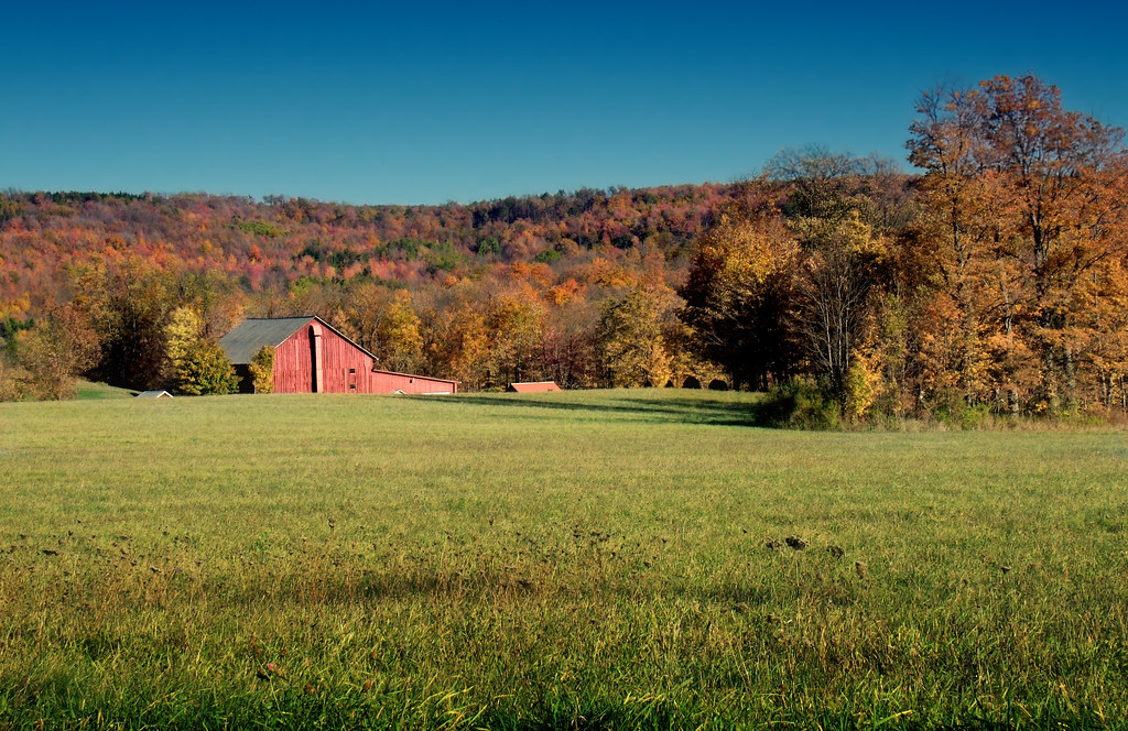 Warmth Lateday light, Cherry Township, Sullivan County. Nicholas A