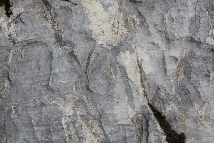 Dolomitic limestone (Ghrudaidh formation of grey limestone… Flickr