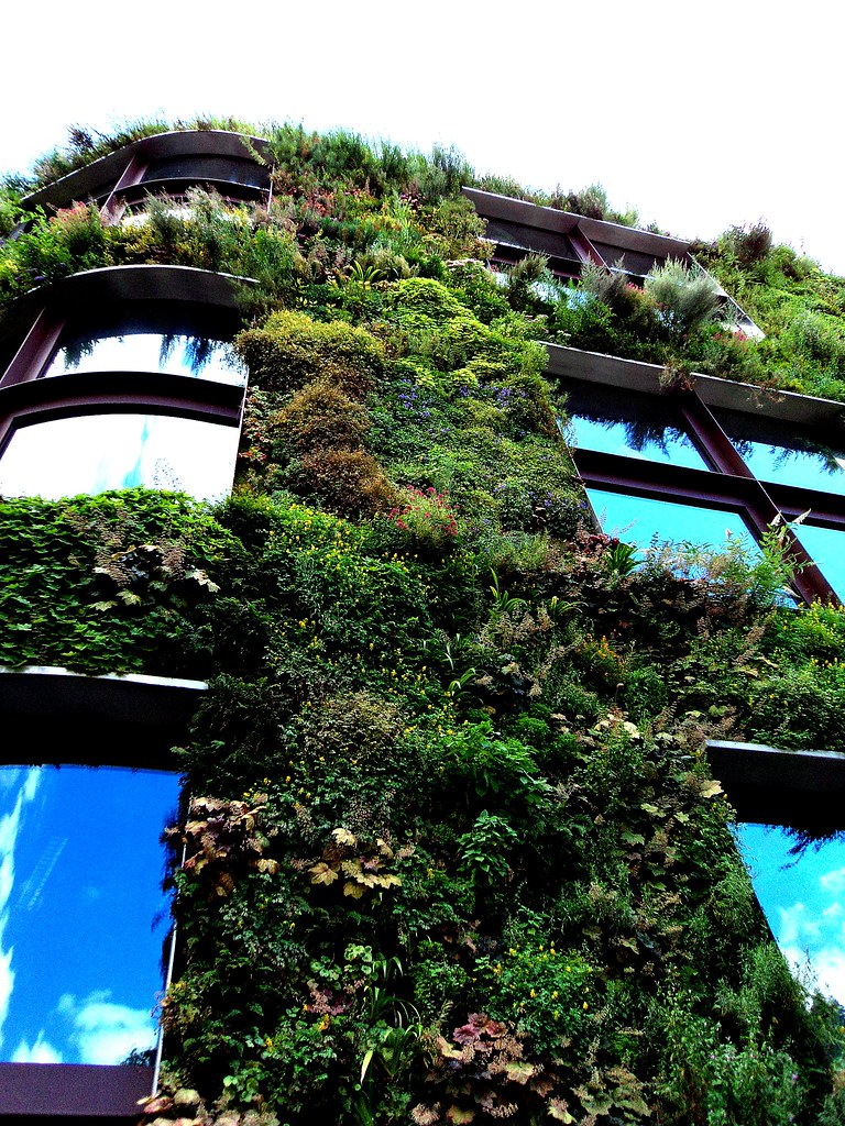 building.with.plants.growing.on.the.walls This is a very g… Flickr